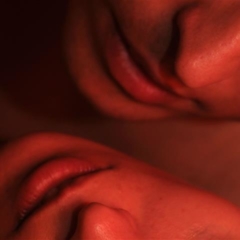 vitabonum Vorschaubild